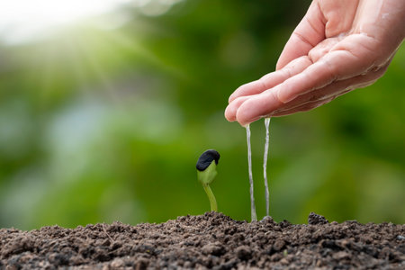 Trees are growing on fertile soil and farmers are watering the trees. Concept of nature, environment, and natural environment preservation.の写真素材