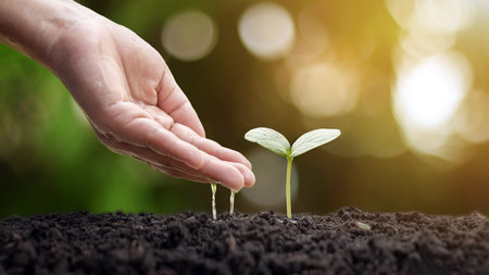 Trees are growing on fertile soil and farmers are watering the trees. Concept of nature, environment, and natural environment preservation.の写真素材