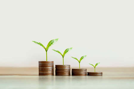 Trees growing on a pile of falling money concept of finance Economic Crisis, Financial Crisis, and Depression.の写真素材