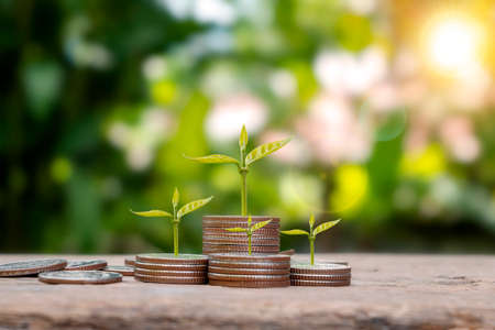 Money growth concept with coins and trees on the pile of coins with blurred green background.の写真素材