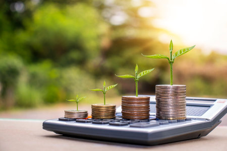 Plant trees on coins and calculators, financial accounting concepts and save money.の写真素材