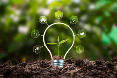 Tree growing on soil and environmentally friendly energy-related icons, earth day concept, and energy saving.の写真素材