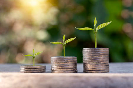 Coins and trees planted on piles of coins, ideas for saving money and increasing finances.の写真素材