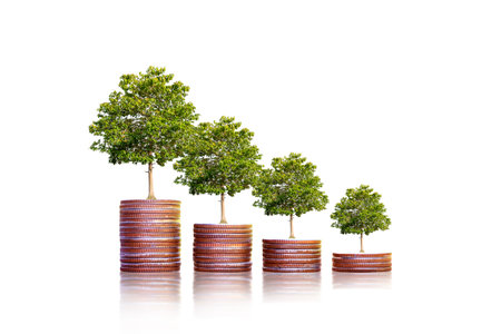 Green leaf plant growth on coin on white background business start idea and business building to success.の写真素材