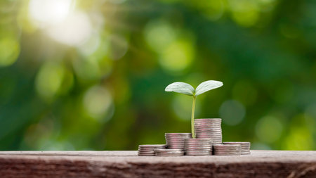 Money tree growing on coins for business growth and business transformation and investment.の写真素材