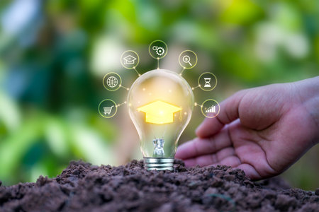 Light bulbs and graduation caps planted on the ground with learning concepts working for future success.の写真素材