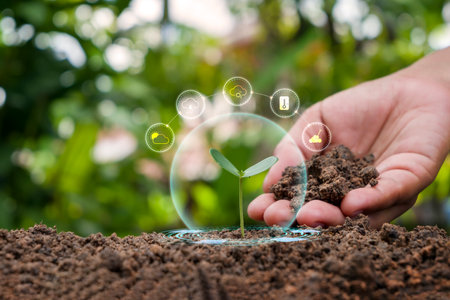 Young trees are planted on the ground with the concept of plant fertilizer, plant nutrients, and factors necessary for plant growth and development.の写真素材