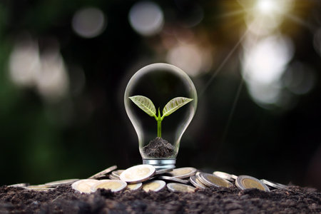A tree growing in a light bulb and a pile of money. Money growth concept and energy business...