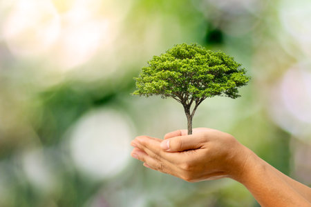 Human hands are holding a huge tree on a green background. World Environment Day concept.の写真素材