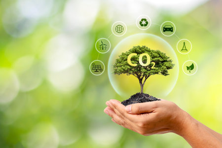 Tree growing on the human hand and CO2 symbol. Concept about carbon dioxide emissions issue and its impact on nature.の写真素材