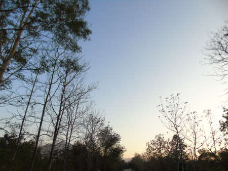 Natural beautyの写真素材