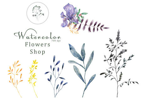 Watercolor floral on white background 700 dpi Similar illustration leaf geen color.の写真素材