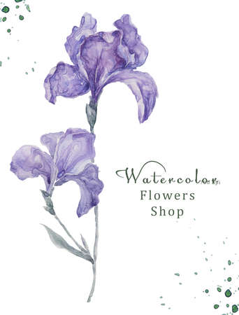 Watercolor floral on white background 700 dpi Similar illustration leaf geen color.の写真素材