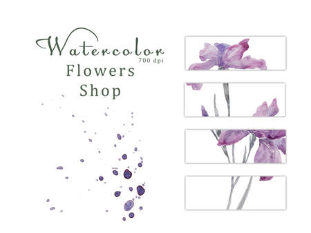 Watercolor floral on white background 700 dpi Similar illustration leaf geen color.の写真素材