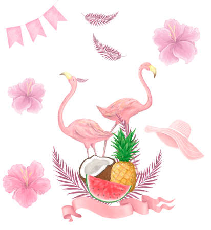 Hand drawn watercolor tropical birds set of flamingo. Exotic rose bird illustrations, jungle tree, brazil trendy art. Perfect for fabric design on white backgroundの写真素材