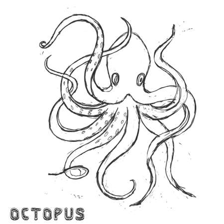 Sea beast character  illustration drawing geometric cute animal polar ocean face octopus eyes funny sea life color white and black Antarctica deep blue art winter similar on white backgroundの写真素材