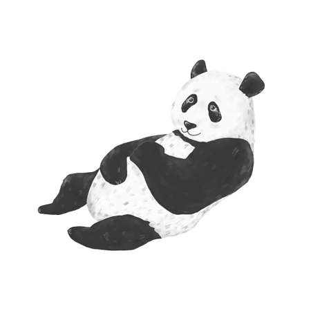 Cute panda watercolor clip art drawing animal illustration on white background sitting funny animal.の写真素材