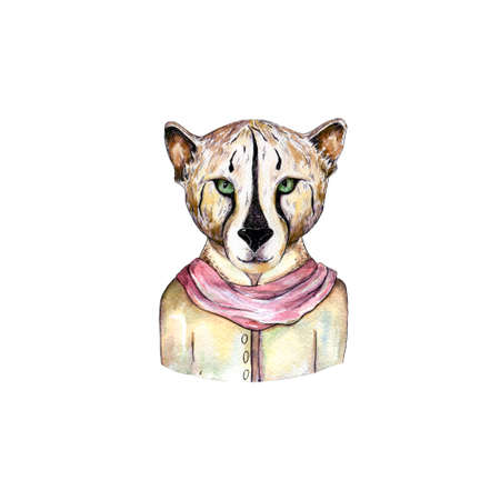 Hand drawn portrait of cute tiger girl cat in clothing. Watercolor illustration isolated on white.の写真素材