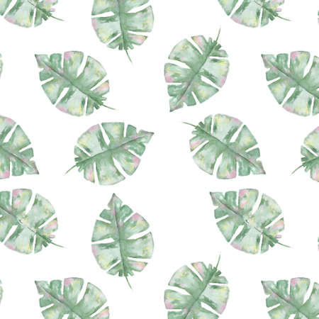 Tropical pattern with exotic palm leavesの写真素材
