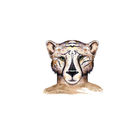 Hand drawn portrait of cute tiger boycat. Watercolor illustration isolated on white.の写真素材