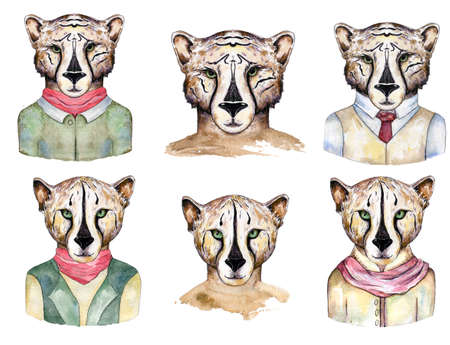 Hand drawn portrait of cute tiger girl cat in clothing. Watercolor illustration isolated on white.の写真素材