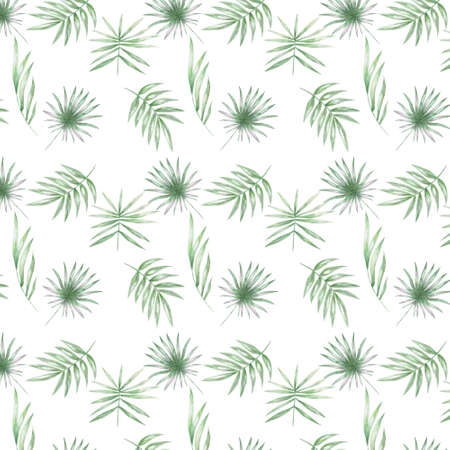 Tropical with exotic palm leavesの写真素材