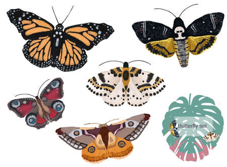 Cute set illustration of watercolor butterflies isolated on white background.の写真素材