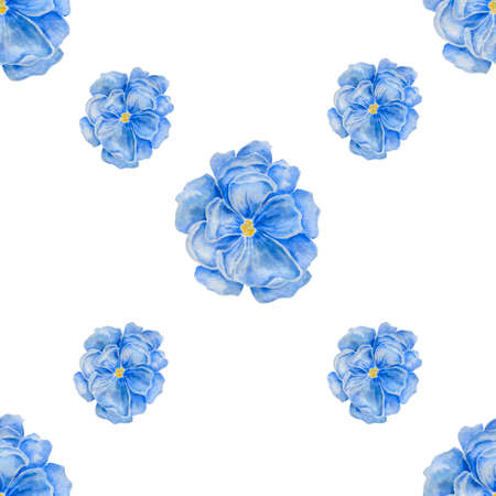 Cute watercolor bleu flowers pattern on white background. Elegant template for fashion printsの写真素材