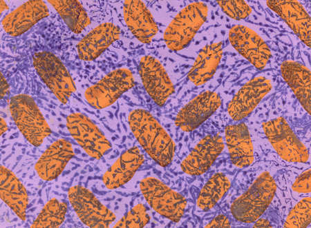 Leopard pattern. Seamless  print. Realistic animal texture. Black and yellow spots on a beige...