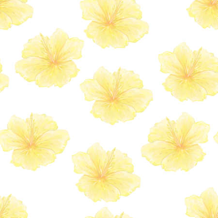 Plumeria, Frangipani pattern - Asian yellow. watercolor Illustration on white backgound.の写真素材