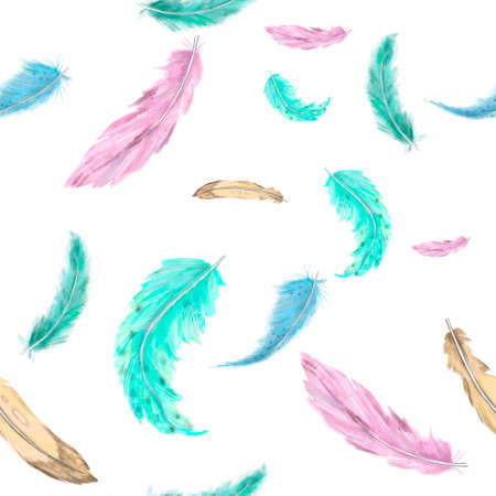 Watercolor feathers boho style clip artの写真素材