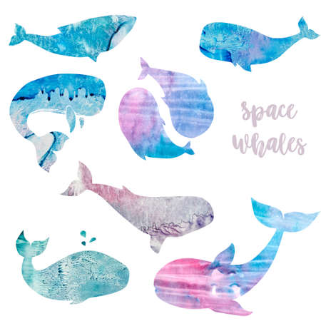 Whales watercolor texture animal watercolor splash abstract texture character drawing illustration geometric clip art for birthday party print celebration clothing on backgroundの写真素材