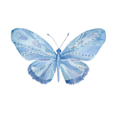 Watercolor Butterfly. Butterfly Aquarelle Aquarelle Butterfly painting clip art beautiful character blue butterfly geometric illustration on white background.の写真素材