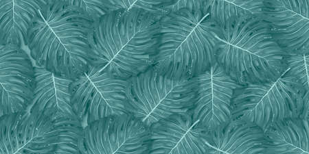 Tropical palm leaves frame on coral backdrop. Summer tropical leaf. Exotic hawaiian jungle,...