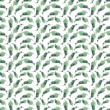Watercolor leaf seamless pattern. Hand drawn green leaves illustration on white backgroundの写真素材
