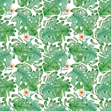 Hand drawn watercolor tropical set. Exotic leaves illustrations, jungle tree, brazil trendy. Perfect for fabric design. Aloha collection.の写真素材