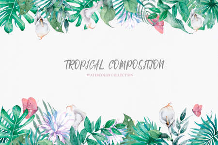 Hand drawn watercolor tropical set. Exotic leaves illustrations, jungle tree, brazil trendy. Perfect for fabric design. Aloha collection.の写真素材