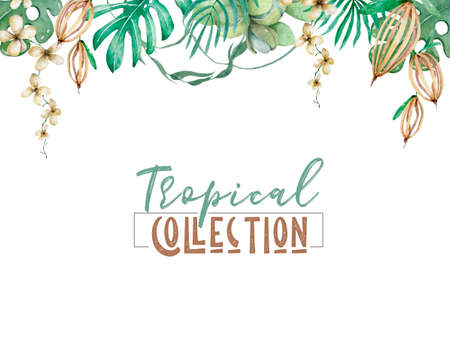 Hand drawn watercolor tropical set. Exotic leaves illustrations, jungle tree, brazil trendy. Perfect for fabric design. Aloha collection.の写真素材