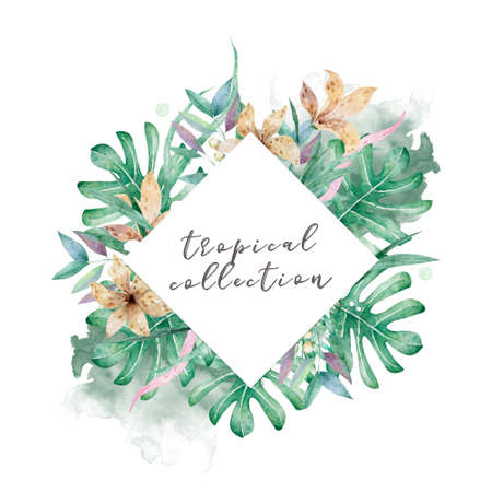 Hand drawn watercolor tropical set. Exotic leaves illustrations, jungle tree, brazil trendy. Perfect for fabric design. Aloha collection.の写真素材