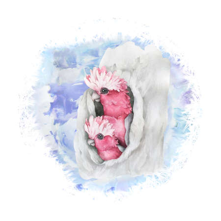 Beautiful floral exotic illustration with parrot, tropical leaves, hibiscus. Isolated on white backgroundの写真素材