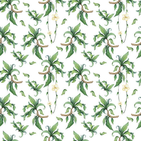 Hand drawn watercolor tropical set. Exotic leaves illustrations, jungle tree, brazil trendy. Perfect for fabric design. Aloha collection.の写真素材