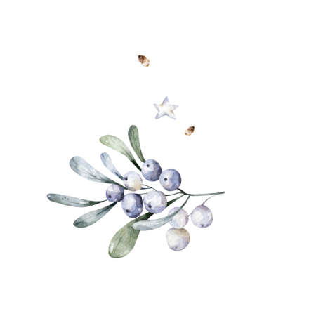 Christmas floral bouquet with poinsettia and fir branches. Hand drawn watercolor illustration. scandinavian illustrations Isolated floral and flowersの写真素材