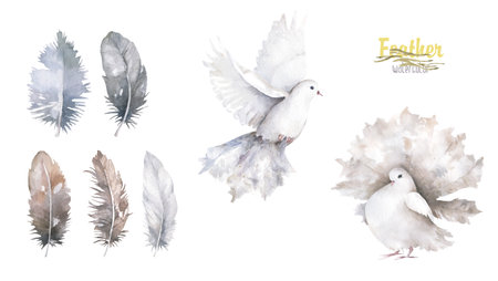 Pigeon clip art watercolor dove bird fly, olive leaves illustration similar on white background. High quality photoの写真素材