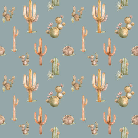 Watercolor bown set of cactus. Hand drawn isolated illustration on white background Hight qualityの写真素材