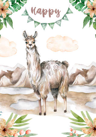 Cartoon lama flat illustrations. Cute llamas alpaca characters smiling, walking, jumping, sleeping in Peru desert landscape with cactuses. Mexican funny lama animal collection isolatedの写真素材