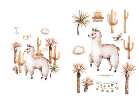Cute llama. Desert floral. Andes set. Hand drawn watercolor animal Alpaca with cactus for baby shower cardの写真素材