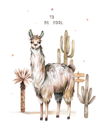 Cartoon guanaco watercolor illustrations. Cute llamas alpaca characters smiling, walking, in Peru desert landscape with cactuses. Mexican funny lama animal collection isolated on whiteの写真素材