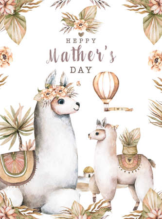Cartoon llama baby mother day greeting card. Cute llamas alpaca characters smiling, walking, in Peru desert landscape with cactuses. Mexican funny lama animal collection isolated on whiteの写真素材