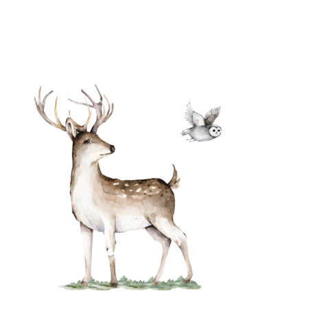 Deer with pine forest and owl, watercolor hand drawn illustration isolated on white backgroundの写真素材