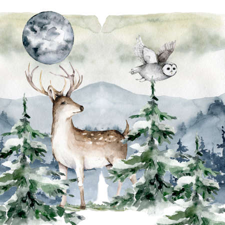 Deer with pine forest and owl, watercolor hand drawn illustration isolated on white backgroundの写真素材